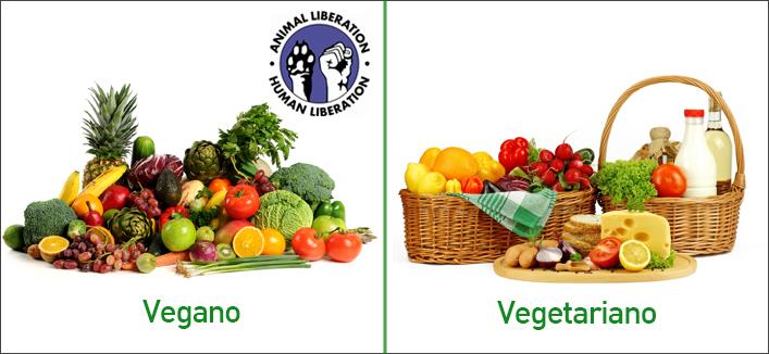 Resultado de imagem para veganismo x vegetarianismo